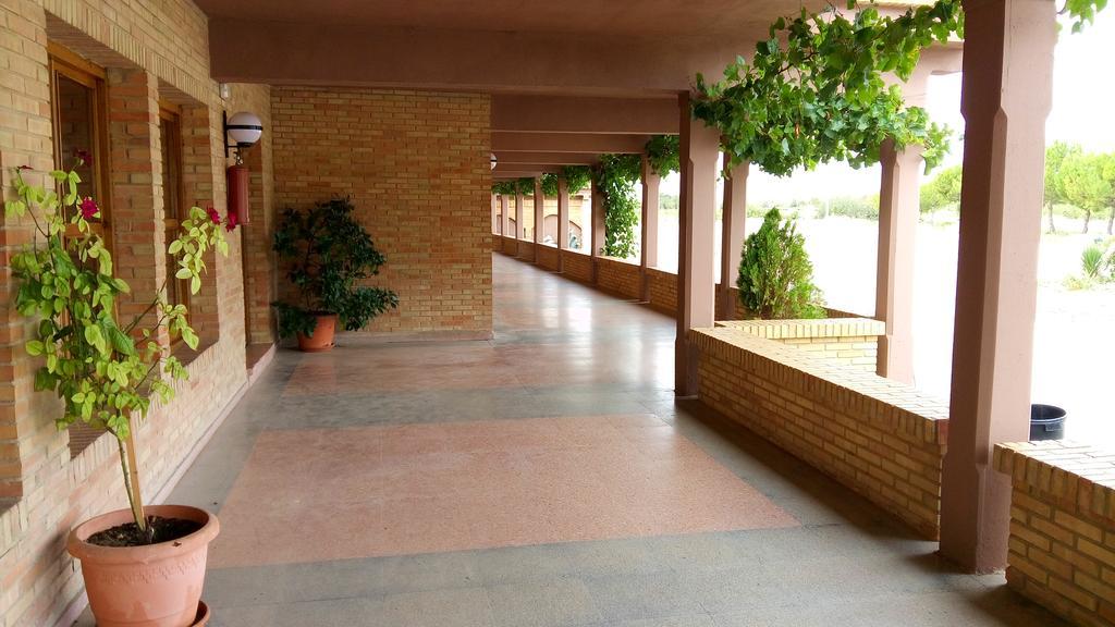 Hotel-Motel Sol II Requena Pokój zdjęcie
